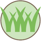 Lawn Care and Mowing Pros