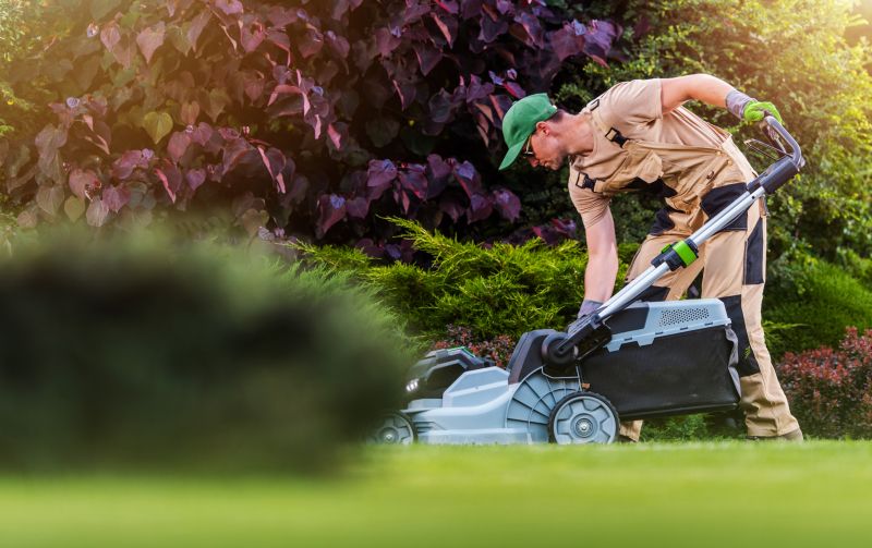 Lawn Care And Mowing