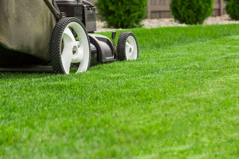 Lawn Care And Mowing detail