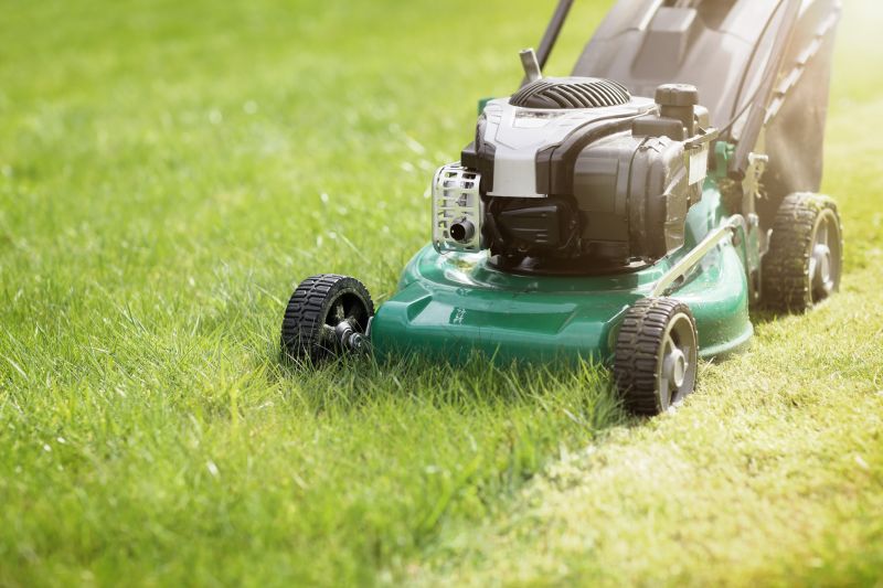 Lawn Care And Mowing detail
