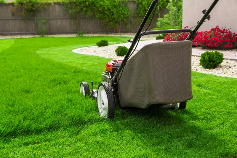 Lawn Care And Mowing