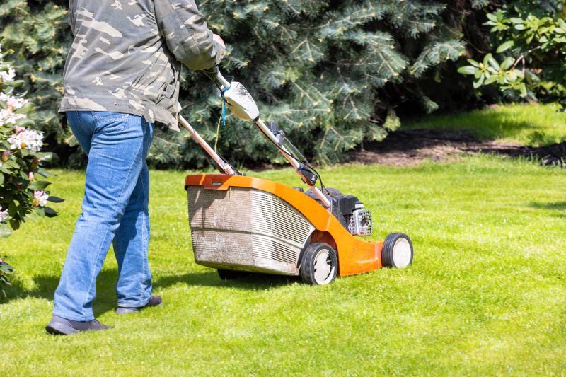 Lawn Care And Mowing